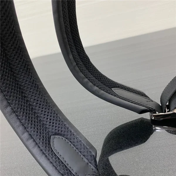 Louis Vuitton Backapck