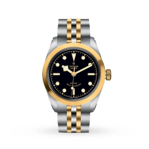 luxury fake Tudor Black Bay 32 S&G Swiss Dive Watch M79583-0001
