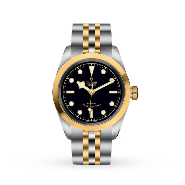 luxury fake Tudor Black Bay 32 S&G Swiss Dive Watch M79583-0001