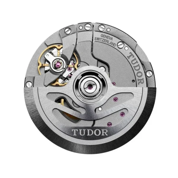 best fake Tudor Black Bay S&G