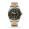 best fake Tudor Black Bay S&G